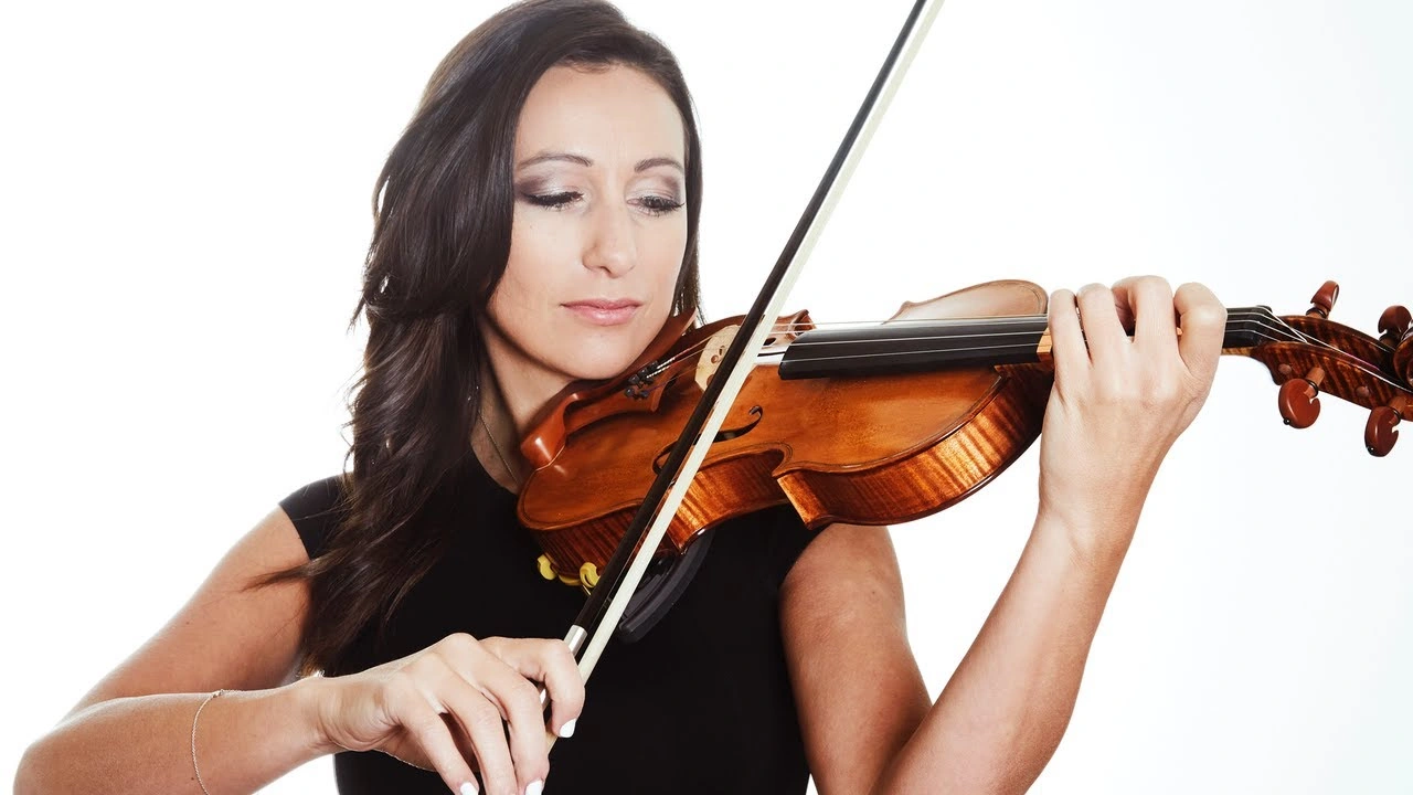 Violin Parts Explained Violin Bow Bridge Chin Rest More Violin Parts Explained Violin Bow Bridge Chin Rest More